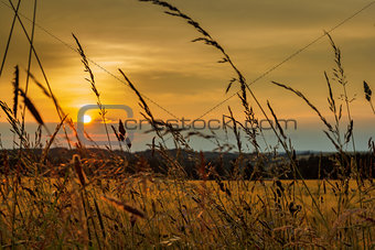 summer sunset over grass field