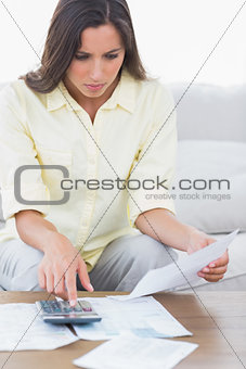 Woman doing her accounts