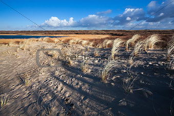 sand dunes in North Holland
