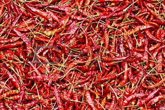 Close up of sun-dried chilli, food ingredient