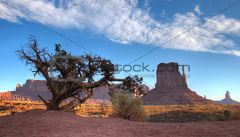 Monument Valley behind dry tree
