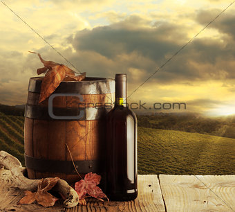 Wine and vineyard