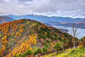 Nikko National Forest in Japan