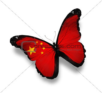Chinese flag butterfly, isolated on white