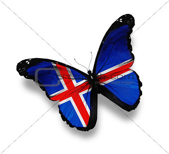 Icelandic flag butterfly, isolated on white