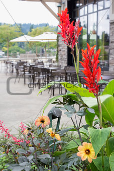 Planter Flowers by Restaurant Outdoor Seating