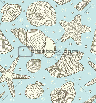 ocean shells