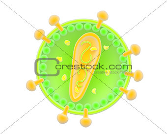 Illustration of a retrovirus