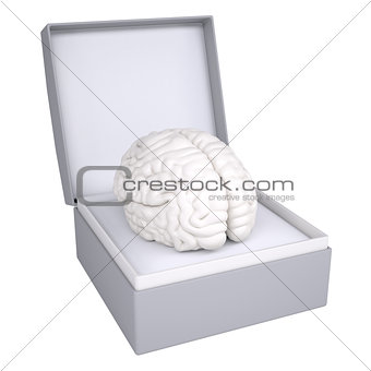Brain in open gift box