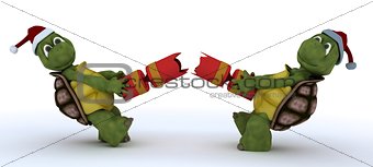 tortoise pulling christmas cracker