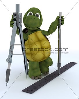 tortoise with drawing aids