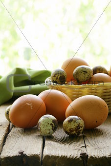 organic fresh eggs on a wooden table