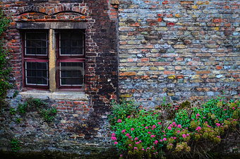 Old vintage brick wall with rusty window and flowers