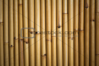 Bamboo background
