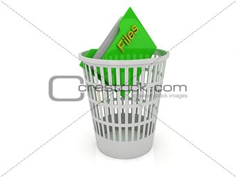 Recycle Bin folder with the files