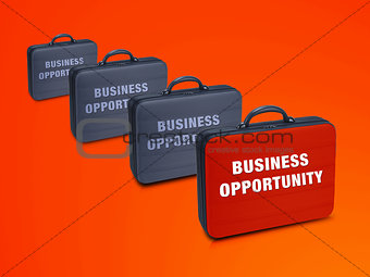 Business  case 