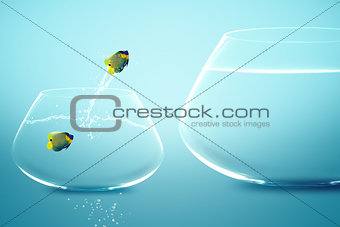 Anglefish in small fishbowl watching goldfish jump into large fi