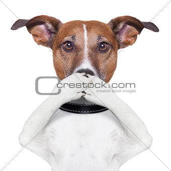 covering mouth dog 