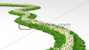 grassy path with flowers