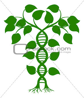 DNA nature plant