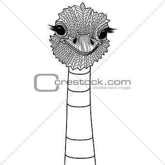 Ostrich bird head as symbol for mascot or emblem design, logo vector illustration for t-shirt.