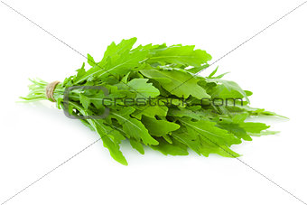 Bunch of fresh Ruccola  leaves /  rocket salad  /  isolated on w