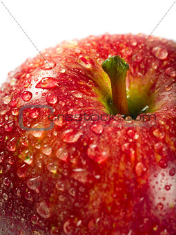 Wet red apple macro