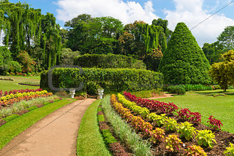 Beautiful tropical botanical garden