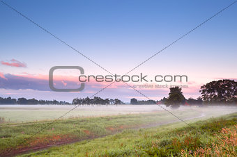 fog over summer meadow in sunrise