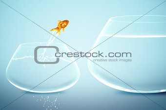 goldfish in small fishbowl watching goldfish jump into large fis