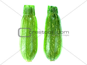 fresh zucchini