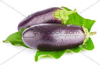 eggplant with green leaf