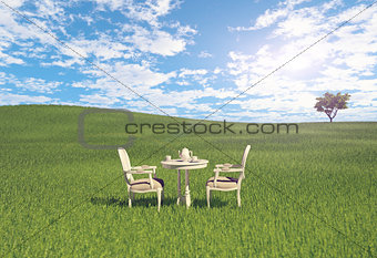 table  on the meadow