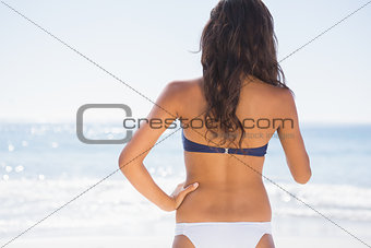 Back of attractive tanned woman in bikini