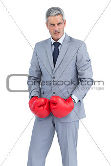 Furious businessman posing with boxing gloves