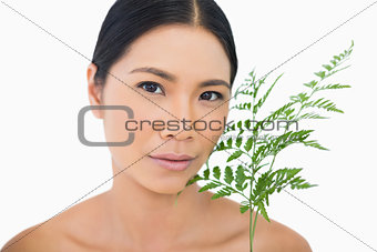 Peaceful sensual dark haired model with fern caressing her face