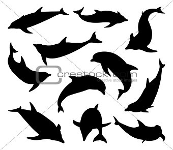 Dolphin silhouettes set