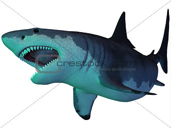 Megalodon Shark Underwater