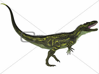 Torvosaurus on White
