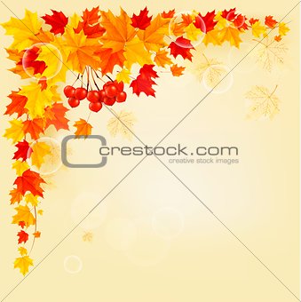 Autumn background with colorful leaves. Back to school. Vector i