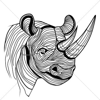 Rhino rhinoceros animal head