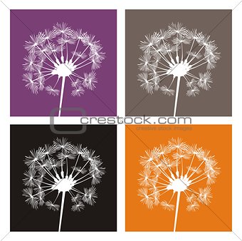 Vector white dandelion silhouette icon set on different, colorful backgrounds.