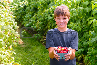 Boy showing freshly picked raspberries