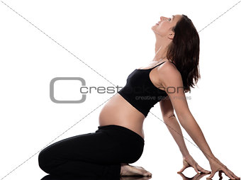 Pregnant Woman Stretching Exercise