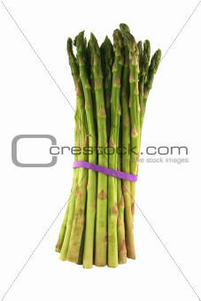 Isolated Asparagus stalks on a white background