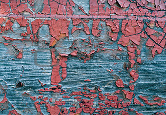 Old Shabby Wooden Planks with cracked color Paint