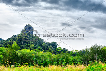 Thai Mountain