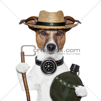hike compass hat dog 