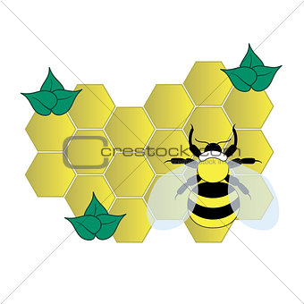 bee on the honey cells