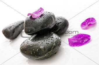 Flower petal on spa stones with water drops